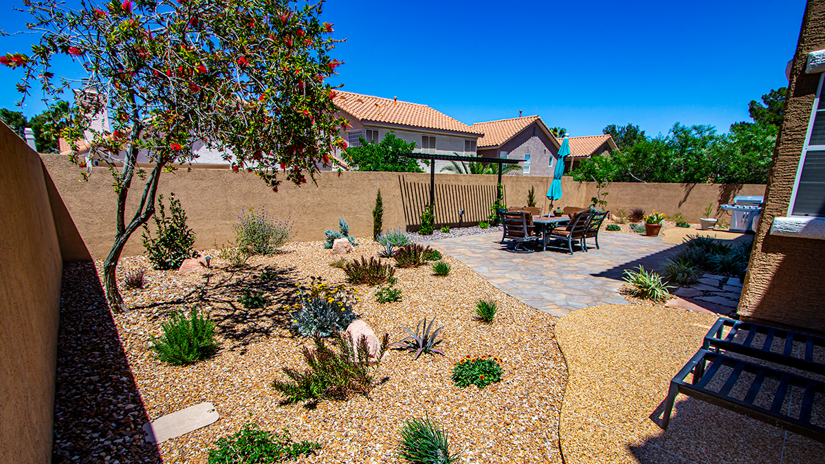 Water-smart landscape with desert-friendly plants