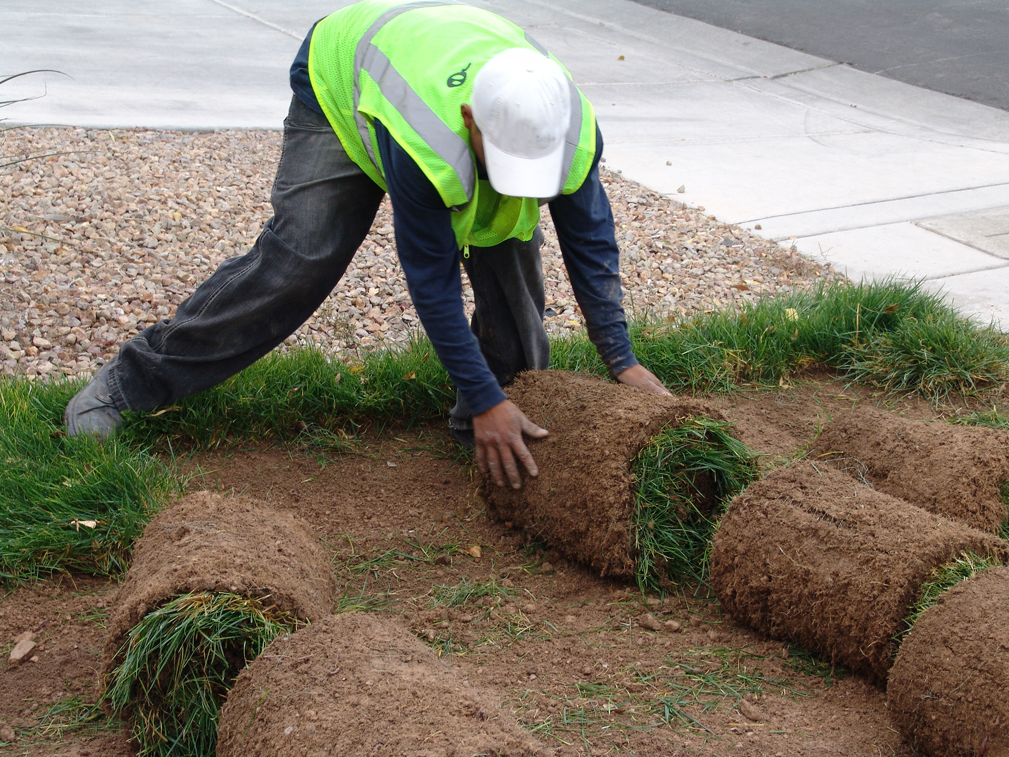 Man removing rolled up turf