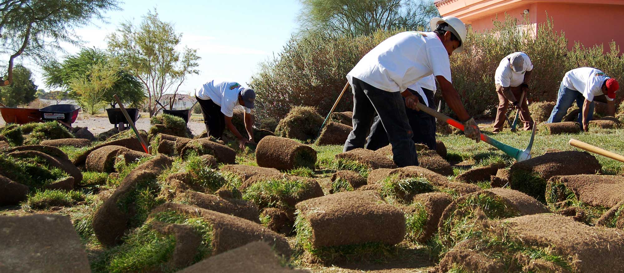 Men remove grass from landscape