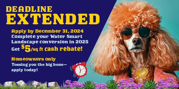 Dog with sunglasses says "$5 per square foot. We raised the woof on the rebate. Get cash for grass. Upgrade to a water-smart landscape. Biggest inventive ever. For homeowners only. Limited time offer.